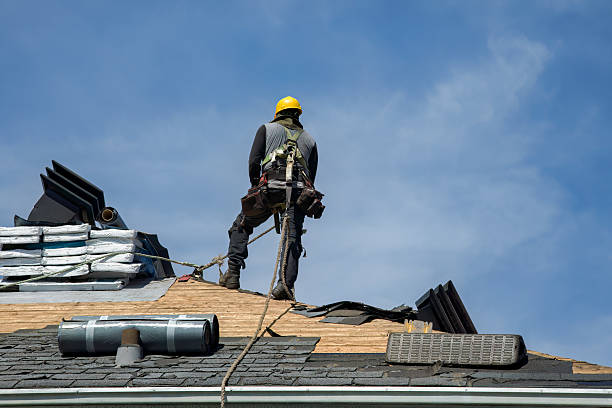 Professional Storm Damage Roof Repair technician working in Laporte, MN